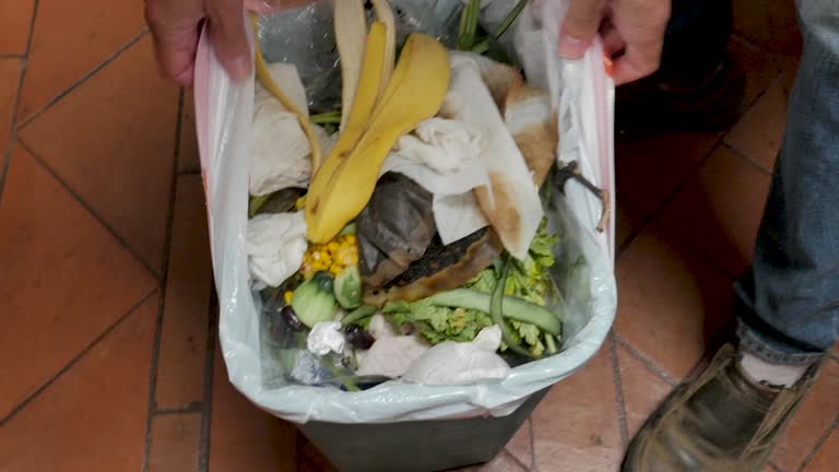 Trusted Larose, LA Junk Removal Services Experts